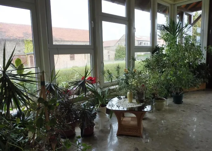 Apartment Nette Mit Garten- Grill Und Pool By Interhome Radewege